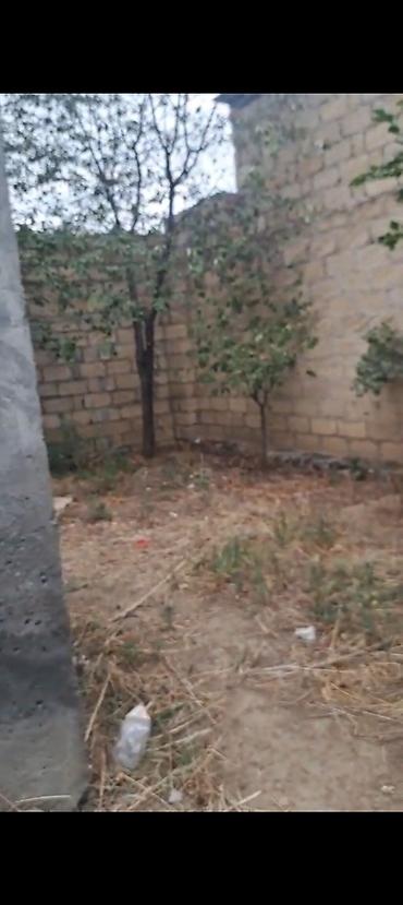 ucarda evlər: Satılır: həyət evi gəncə şəhəri sevin qəsəbsi 3sot yarımda tikilib 1 — 2