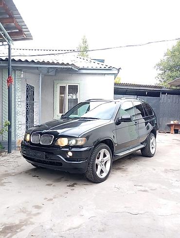 BMW X5: 2003 г., 4.4 л, Автомат, Бензин, Внедорожник