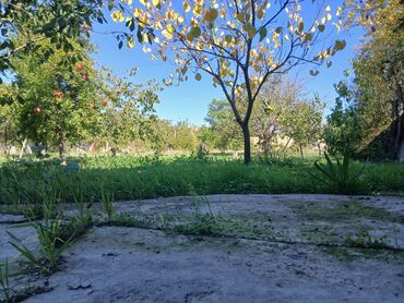 Həyət evləri və villaların satışı: 4 otaqlı, 170 kv. m, Orta təmir -da lalafo.az — 15 Həyət evləri və villaların satışı: 4 otaqlı, 170 kv. m, Orta təmir — 15