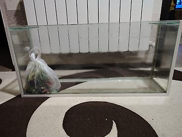100 l akvarium: Şüşə akvarium
Uzunluq 86
Hundurluy 40 en 22 unvan masazır — 1