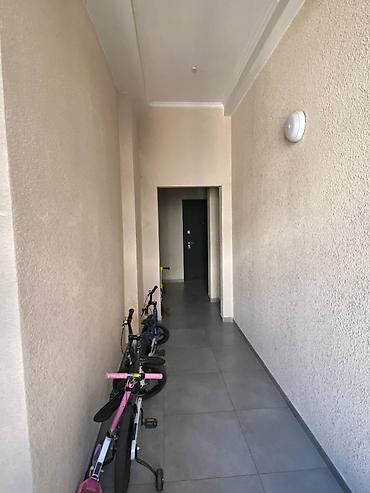 площадь победы: 3 комнаты, 105 м², Золотой квадрат 8 этаж, Евроремонт — 3