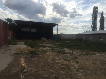 Продажа домов: Дом, 130 м², 6 комнат, Собственник — 6