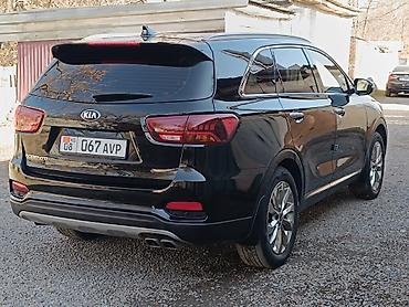 картер: Kia Sorento: 2019 г., 2 л, Автомат, Дизель, Кроссовер — 6