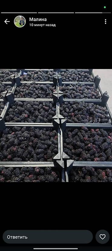 Ящики: Пластиковый Ящик — 11