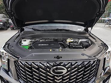GAC: На заказ GAC GS8 Navigator Series 2.0TGDI бензин 4WD Luxury 5-Seater - — 9