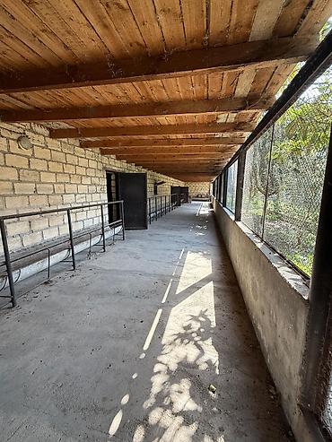 Torpaq sahələrinin satışı: Kənd təsərrüfatı — 7