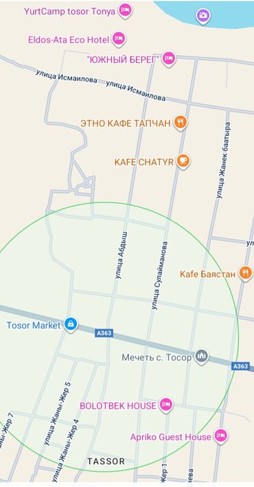двухэтажный дом в бишкеке: 11 соток, Красная книга