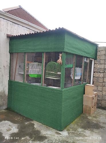 Həyət evləri və villaların satışı: 6 otaqlı, 6 kv. m, Orta təmir — 22