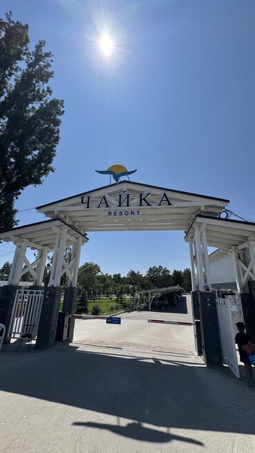 летний лагерь на иссык куле 2024: Батир, Chaika Resort | Chaika Resort, Сары-Ой, Балдар аянтчасы, Унаа токтотуучу жай, унаа туруучу жай, Коргоодогу аймак