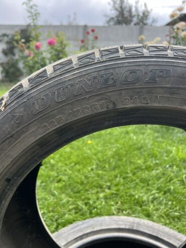 шина токмок: Шины 225 / 50 / R 17, Зима, Легковые, Dunlop