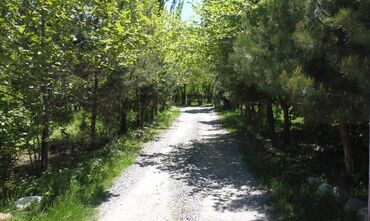 Kommersiya daşınmaz əmlakının satışı: Qusar şəhərində(200 sot) Şahdağa gedən yolun Qusar çayının sol — 10