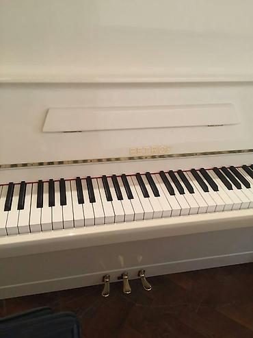 Musiqi alətləri: Pianino PETROF Cexya stehsalı. Ideal vəziyyədə. Cadırılma və köklənmə — 6