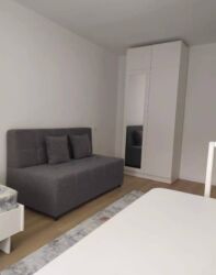 дом или квартира: 1 бөлмө, Риелтор, Чогуу жашоосу жок, Толугу менен эмереги бар