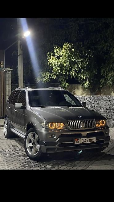 опель фара: BMW X5: 2004 г., 4.4 л, Автомат, Бензин, Кроссовер — 1
