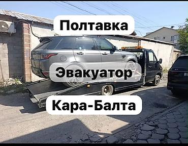 С лебедкой