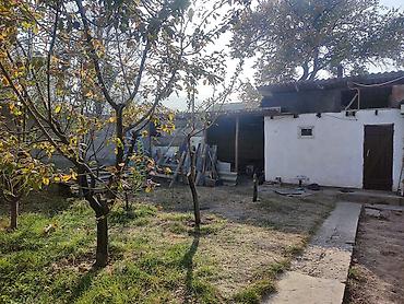 продажа домов беш кунгой: Продаётся частный дом с участком.🏠 • 5 Соток 🏡 • 3 комнаты • Баня — 6