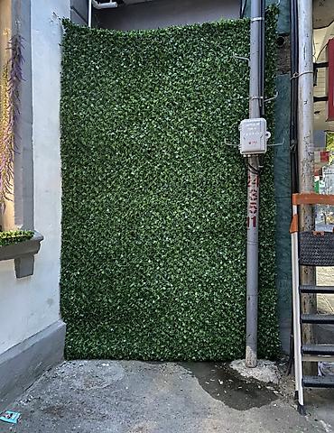 kələm gülü: 🌿 Yaşıl Hasar – Təbii Görünüş, Uzunömürlü Keyfiyyət! 🌿 🏗 Paslanmaz — 1