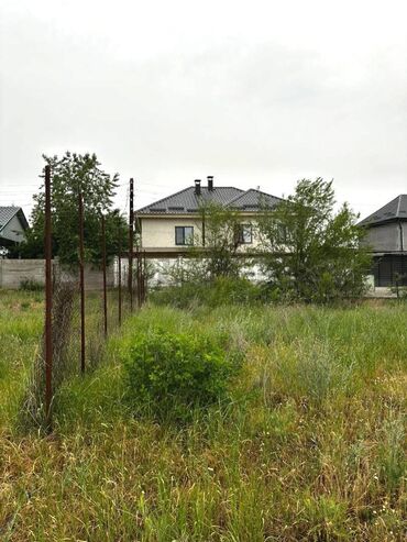 загородный: 5 соток, Красная книга