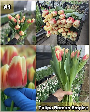 Организация мероприятий: Организация мероприятий | Букеты, флористика — 2