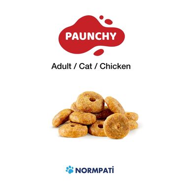 Зоотовары: Сухой корм для кошек,котят, стерильных котов и кошек. Производство at lalafo.kg — 10 Зоотовары: Сухой корм для кошек,котят, стерильных котов и кошек. Производство — 10