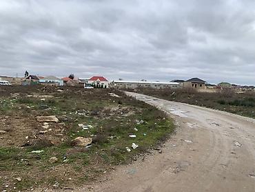 Torpaq sahələrinin satışı: 75 sot, Tikinti -da lalafo.az — 14 Torpaq sahələrinin satışı: 75 sot, Tikinti — 14