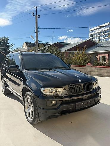 mercedes benz e 200: BMW X5: 2004 г., 4.8 л, Автомат, Бензин, Кроссовер — 2
