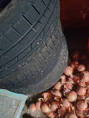 5100 r15: Комплект автомобильных шин (4 шт.) - Сезон: зимние (неношеная серая — 4
