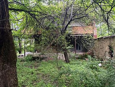 Bağ evlərinin satışı: Şəki, 82 kv. m, 3 otaqlı, Hovuzsuz, Su — 11
