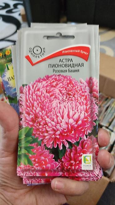 Другие виды семян и саженцев: Продаю чернозем в мешках,земля для цветов,чернозем для роз,чернозем — 25