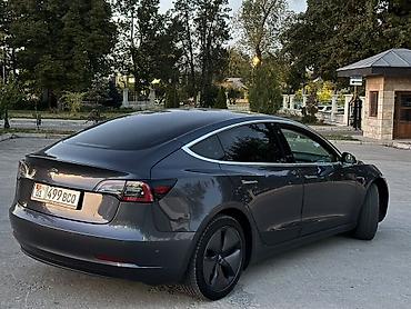 плесос для машины: Tesla Model 3: 2019 г., Электромобиль, Лифтбек — 4