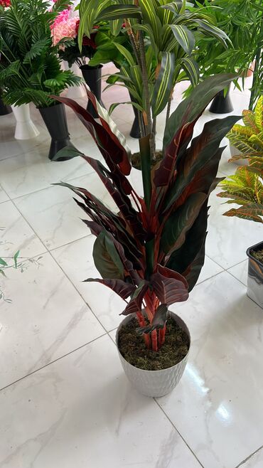 Süni güllər: 50 man baslayan qiymetler — 15