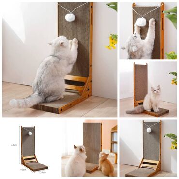 Товары и оборудование для с/х животных: ПРОДАЮ РАЗЛИЧНЫЕ КОГТЕТОЧКИ(от 500сом),А ТАК ЖЕ СУМКИ at lalafo.kg — 14 Товары и оборудование для с/х животных: ПРОДАЮ РАЗЛИЧНЫЕ КОГТЕТОЧКИ(от 500сом),А ТАК ЖЕ СУМКИ — 14