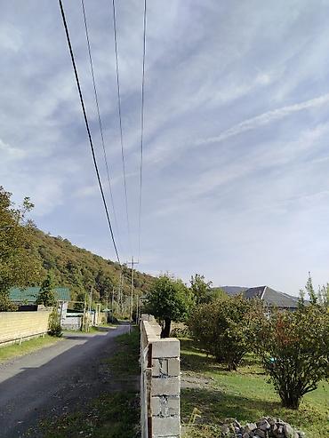 8 sot, Tikinti, Mülkiyyətçi, Kupça (Çıxarış)