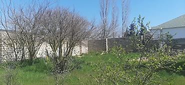 Torpaq sahələrinin satışı: 9 sot, Tikinti, Mülkiyyətçi, Kupça (Çıxarış) — 4