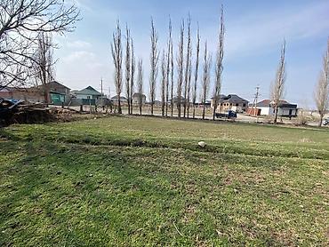 Продажа участков: 5 соток, Для строительства, Красная книга at lalafo.kg — 9 Продажа участков: 5 соток, Для строительства, Красная книга — 9