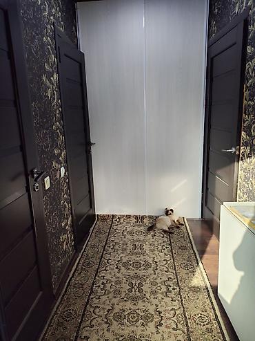 Продажа участков: 4 соток, Красная книга — 5