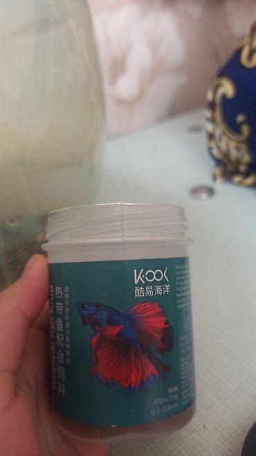 живые рыбки: Аквариумный набор для бойцовой рыбки (Betta) Состав: - Круглый — 6
