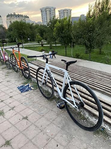 трекси: Фикс-байк TSUNAMI snm100 - Рама и вилка: алюминий, классическая — 1
