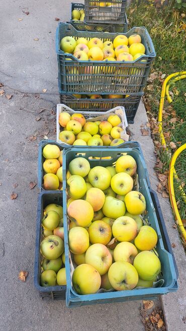 кофе 3 в 1: Яблоки