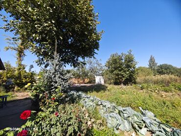 дом раздольная: 5 соток, Курулуш