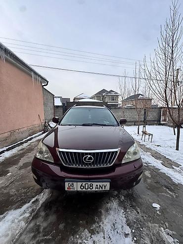лексус 250 ес: Lexus RX: 2008 г., 3.5 л, Автомат, Бензин, Кроссовер — 1