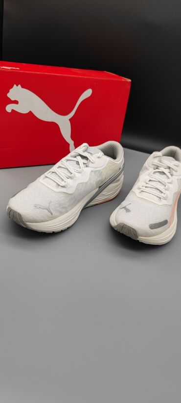 Кроссовки и спортивная обувь: Кроссовки, 37, 38, Puma, Новый, цвет - Белый, Самовывоз, Платная доставка