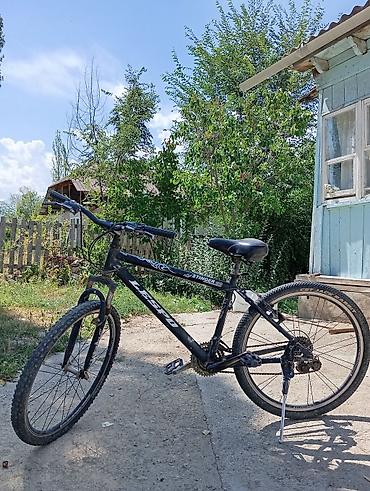 format velosiped: Горный велосипед Stinger (LESPO), черный. - Размер колес: 26" - Рама — 2