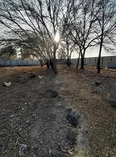 Продажа участков: 18 соток, Для бизнеса — 5