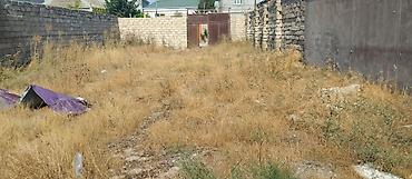 savalan torpag: 3 sot, Tikinti, Mülkiyyətçi, Kupça (Çıxarış) — 4