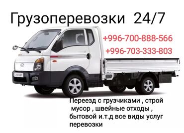 шкафы для офиса: Porter, Көчүү, эмеректерди көчүрүү, жүк ташуучу жумушчусу менен