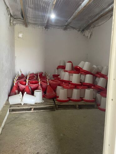 Kommersiya daşınmaz əmlakının satışı: TƏCİLİ SATILIR! Quşçuluq və heyvandarlıq üçün nəzərdə tutulmuş ferma -da lalafo.az — 9 Kommersiya daşınmaz əmlakının satışı: TƏCİLİ SATILIR! Quşçuluq və heyvandarlıq üçün nəzərdə tutulmuş ferma — 9