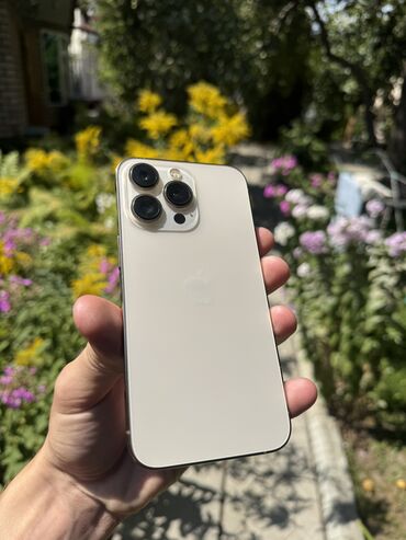 портативная калонка: IPhone 13 Pro, Б/у, 256 ГБ, Золотой, Защитное стекло, Чехол, 79 %