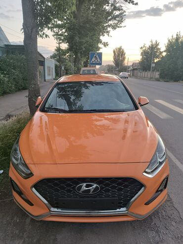 hundai kona: Hyundai Sonata: 2019 г., 2 л, Автомат, Газ, Седан