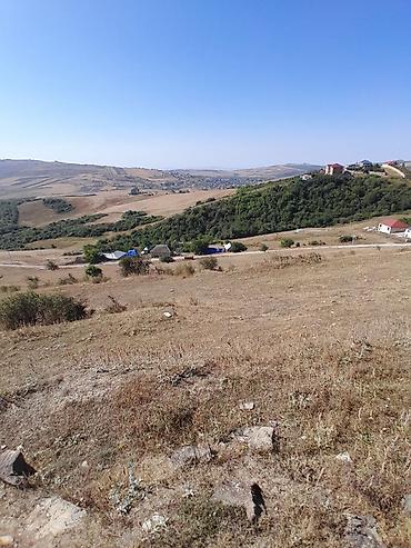ev elanlari kirayə: 12 sot, Tikinti, Barter mümkündür, Kupça (Çıxarış) — 5